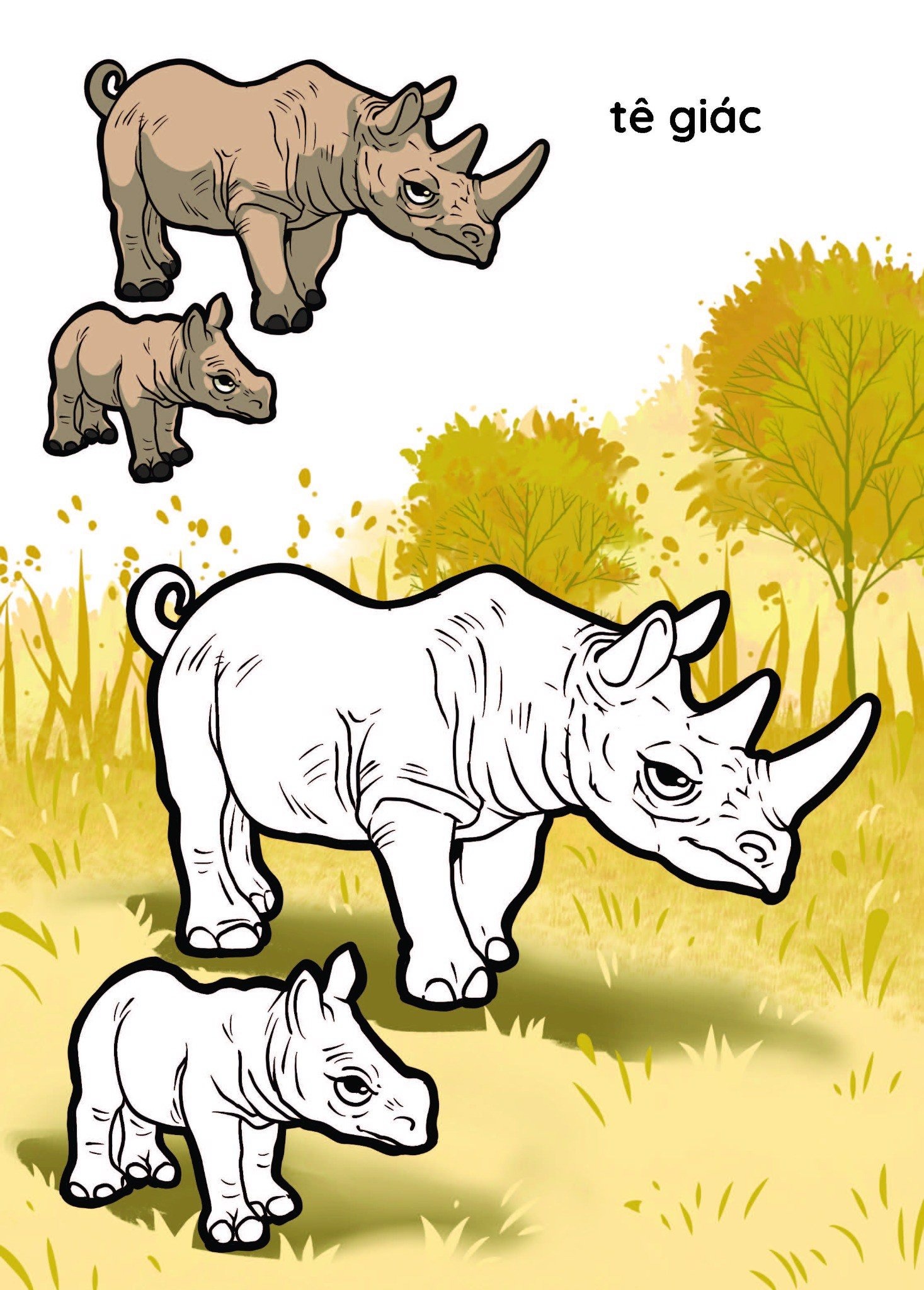 nào mình cùng tô màu nhé! - rừng xanh