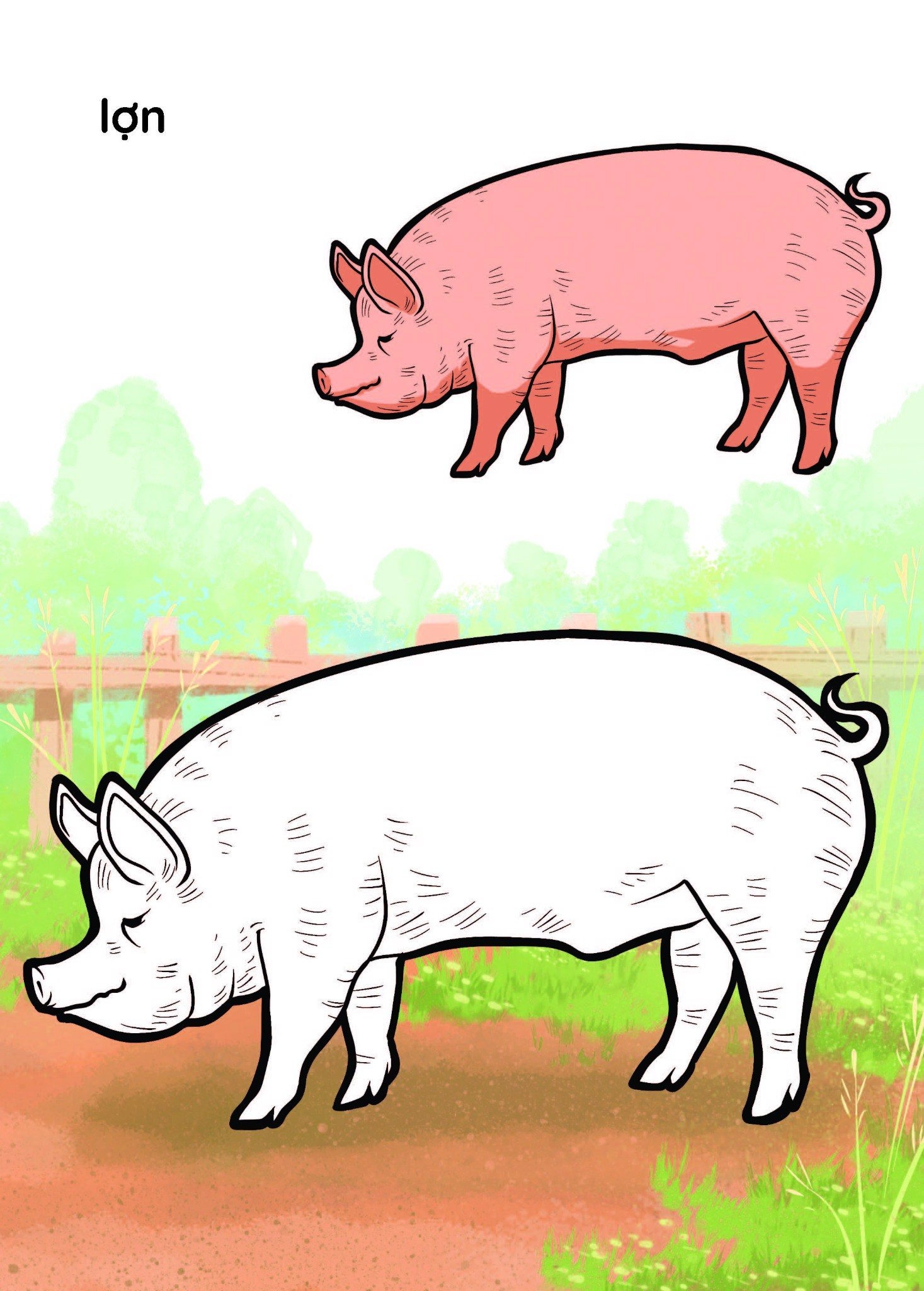 nào mình cùng tô màu nhé! - vật nuôi