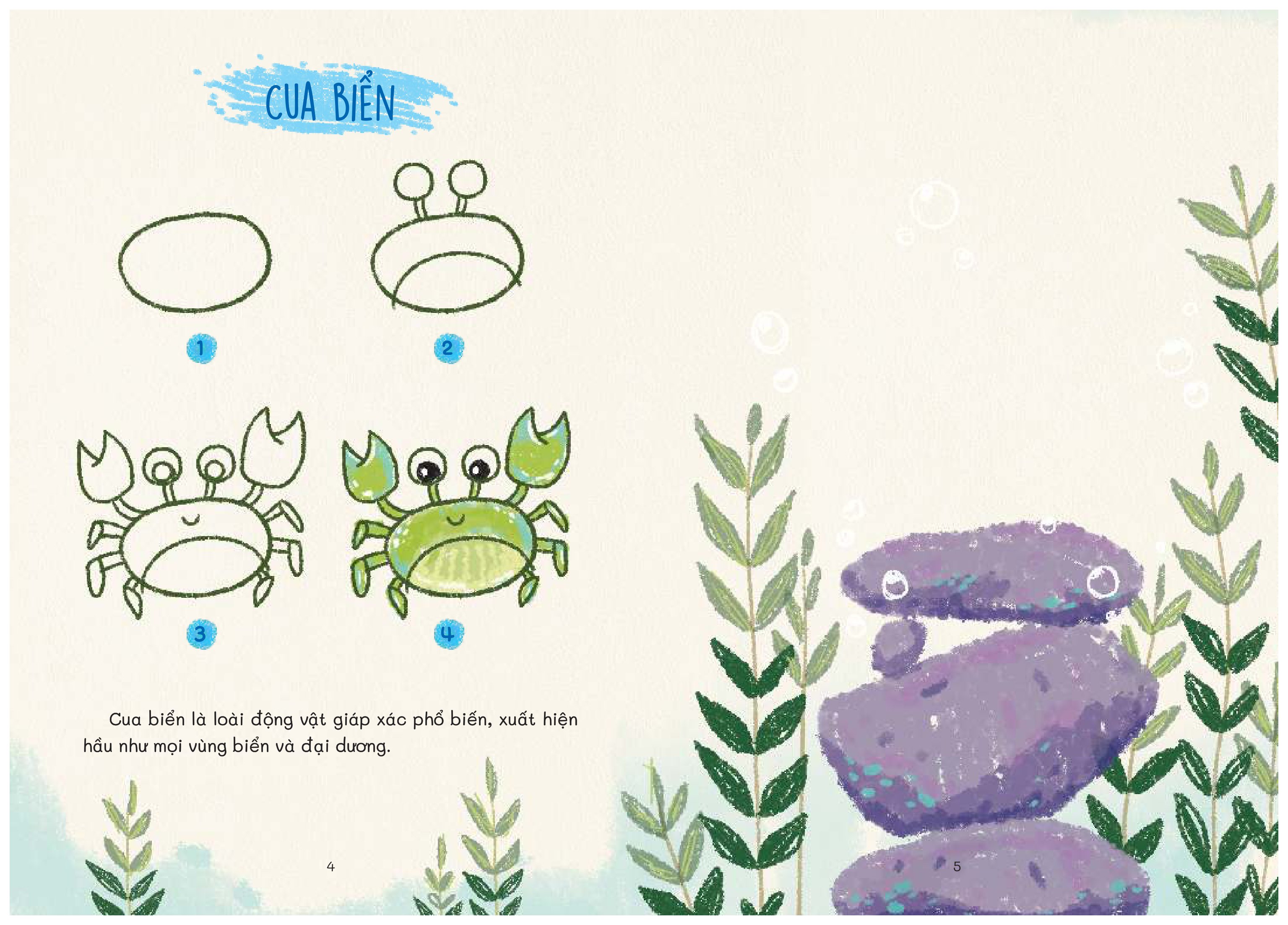 nào mình cùng vẽ - khám phá đại dương