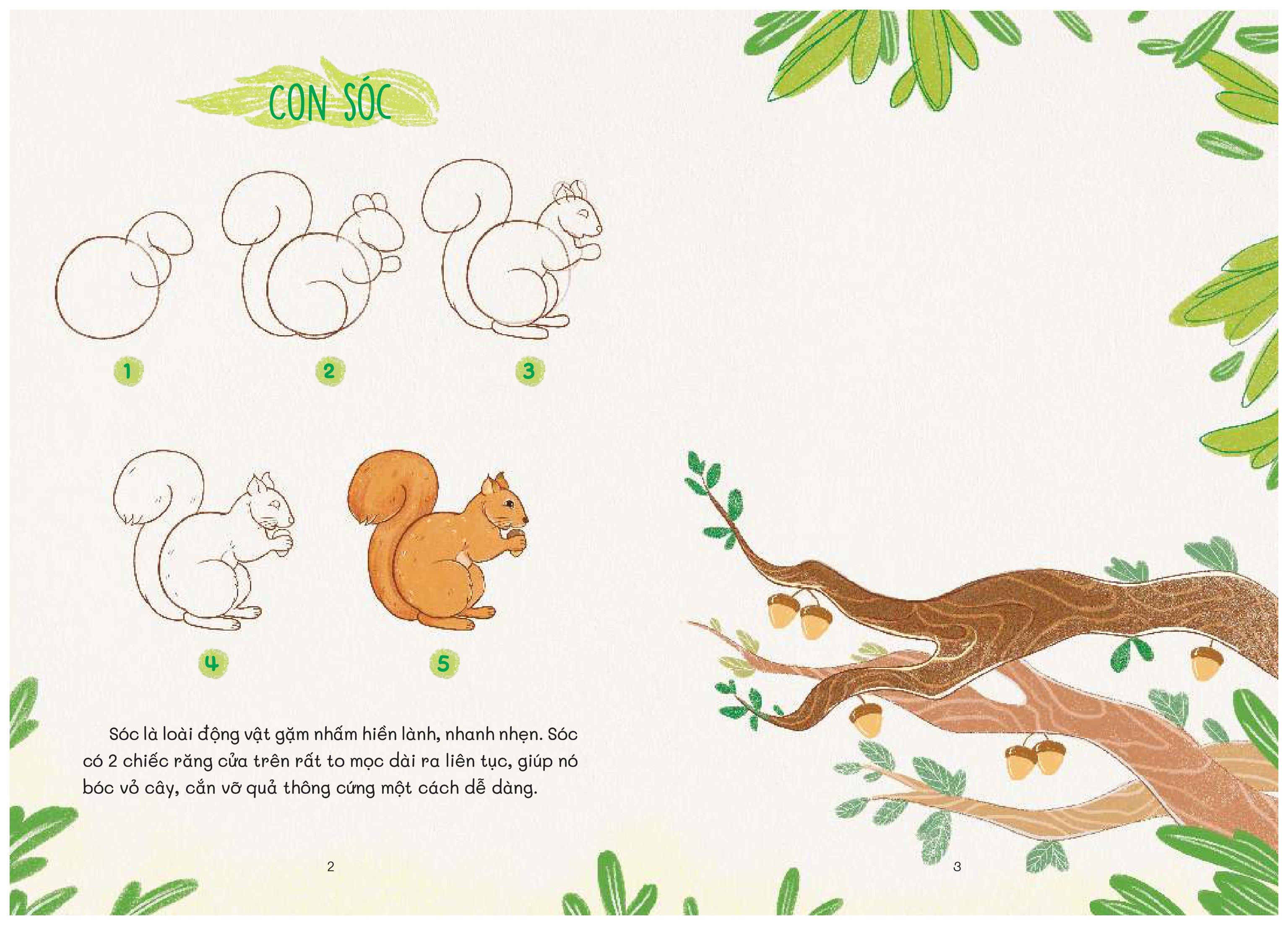 nào mình cùng vẽ - rừng xanh bí ẩn