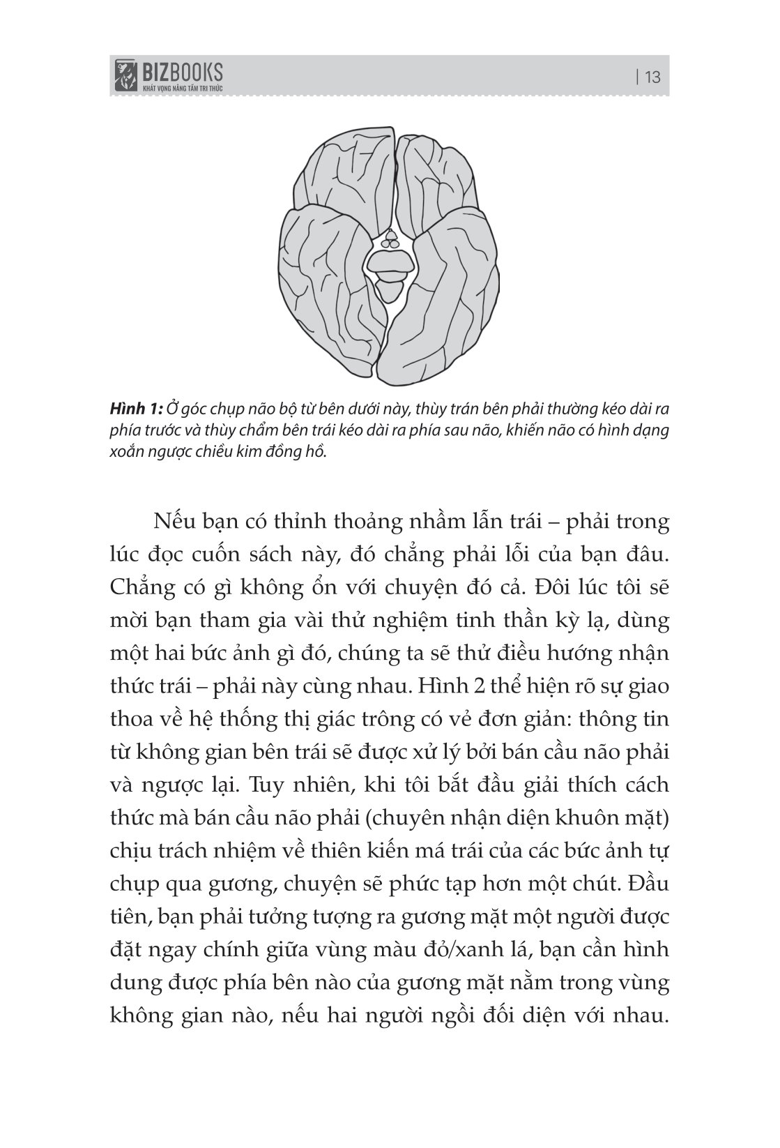 não trái não phải và cách chúng ảnh hưởng đến hành vi hằng ngày của chúng ta