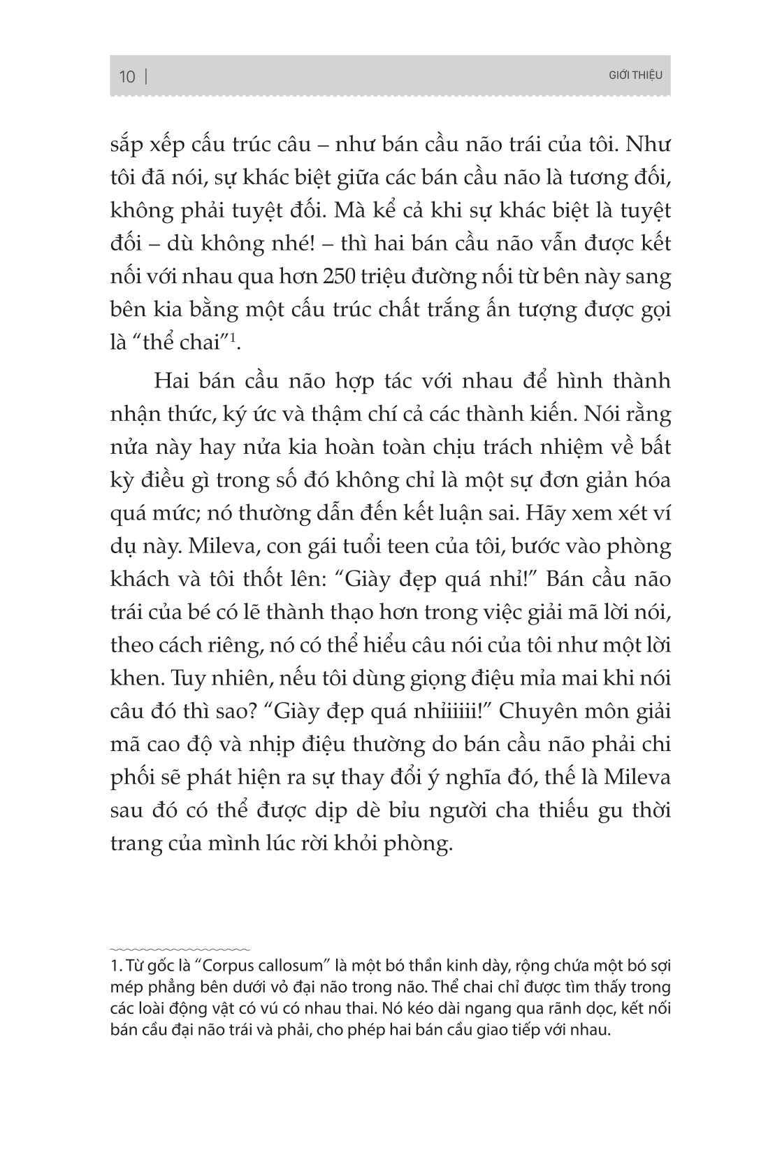 não trái não phải và cách chúng ảnh hưởng đến hành vi hằng ngày của chúng ta