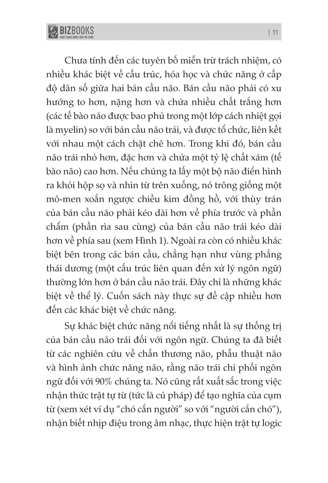 não trái não phải và cách chúng ảnh hưởng đến hành vi hằng ngày của chúng ta