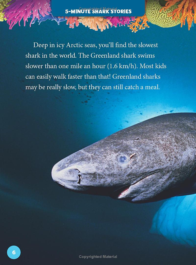 national geographic kids 5-minute shark stories