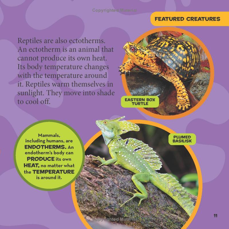 national geographic kids little kids first big book of reptiles and amphibians
