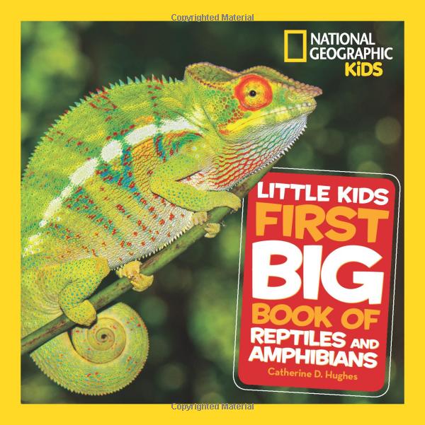 national geographic kids little kids first big book of reptiles and amphibians