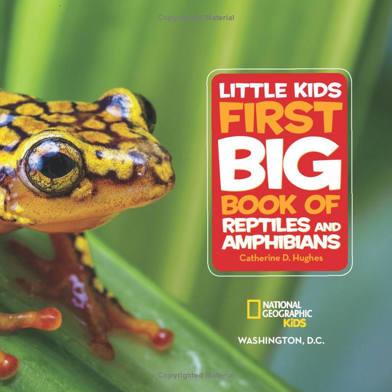 national geographic kids little kids first big book of reptiles and amphibians