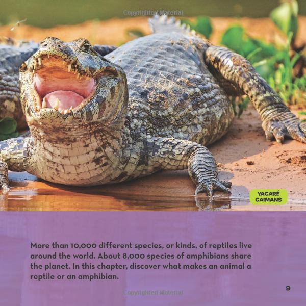 national geographic kids little kids first big book of reptiles and amphibians