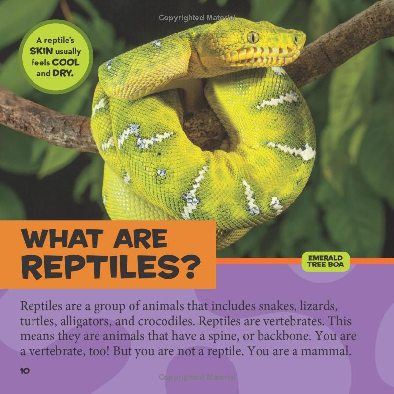 national geographic kids little kids first big book of reptiles and amphibians