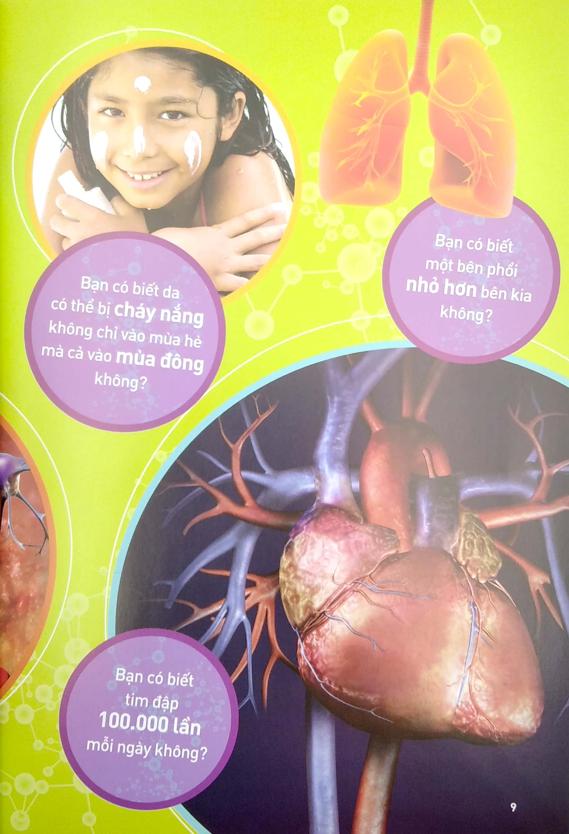 national geographic kids - tất tần tật về cơ thể người