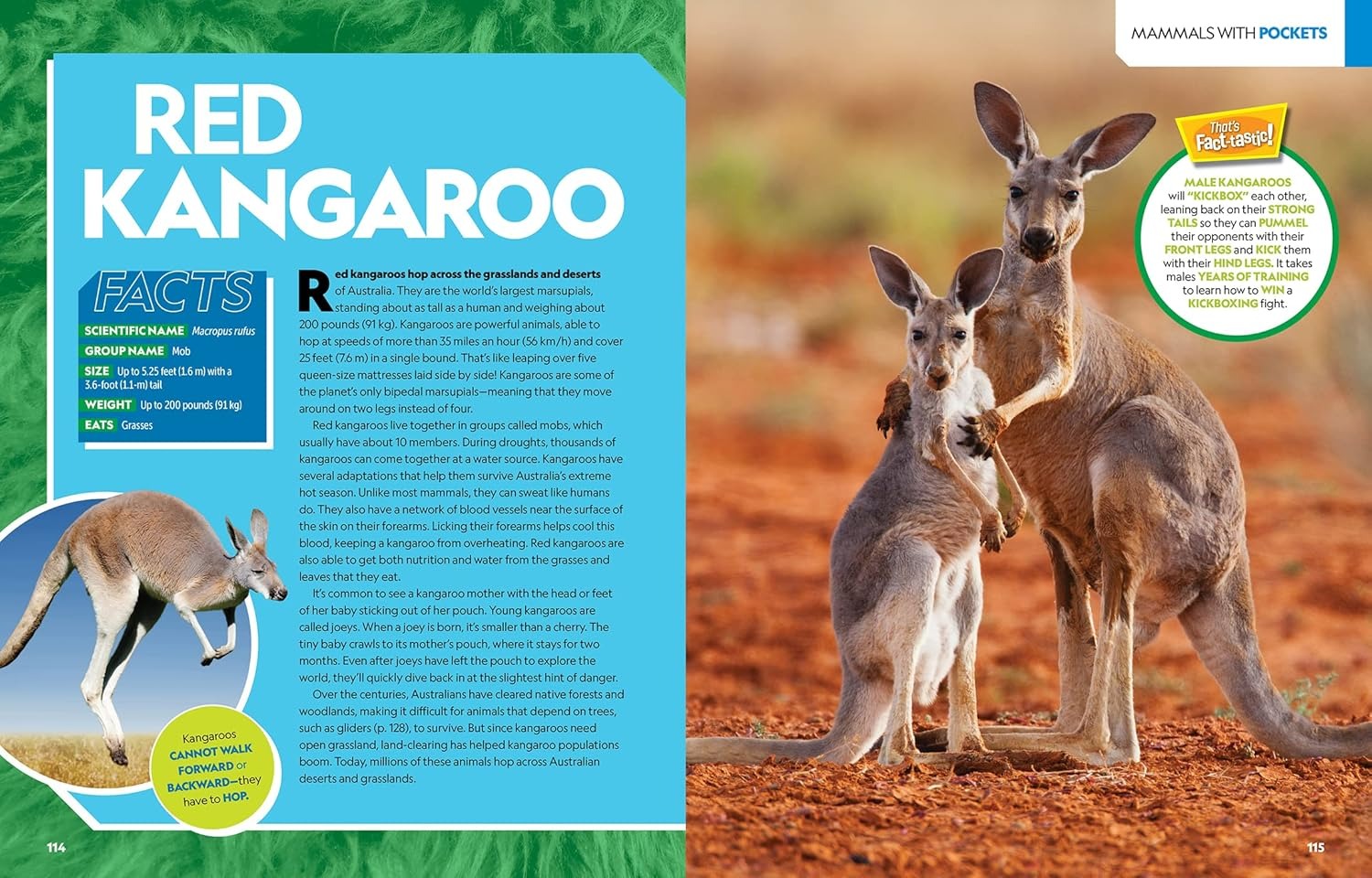 national geographic kids - ultimate mammalpedia