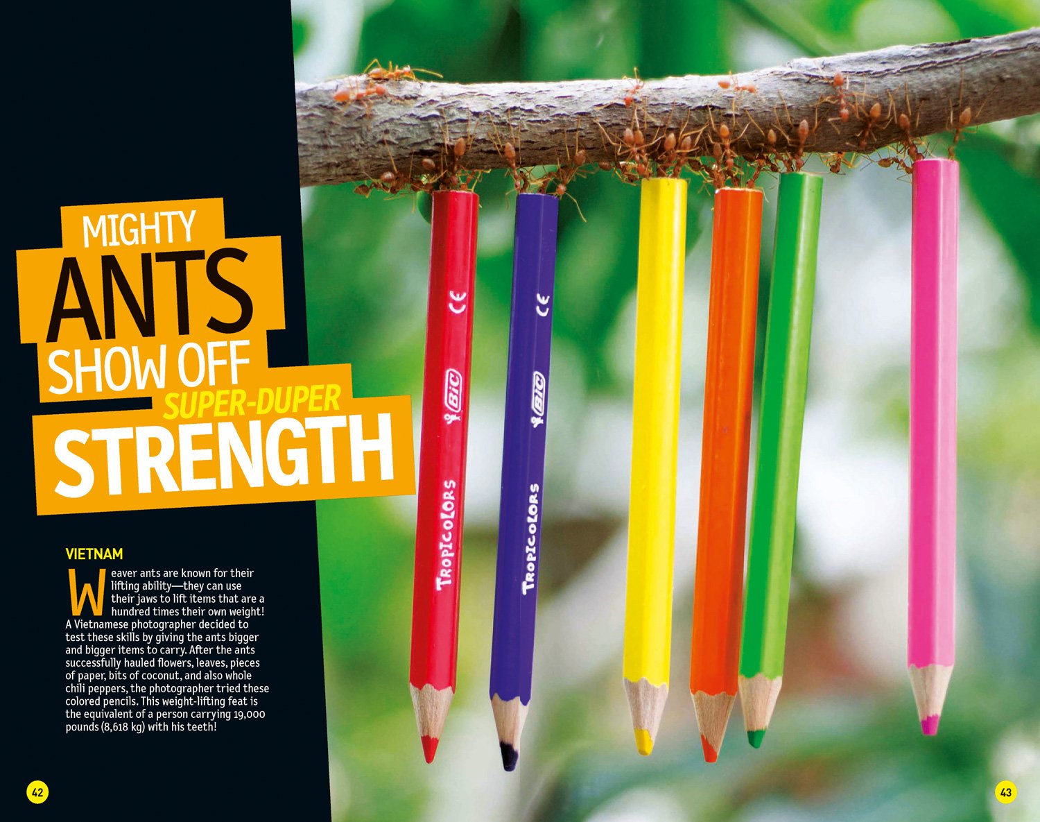 national geographic kids weird but true!: ripped from the headlines: real-life stories you have to read to believe