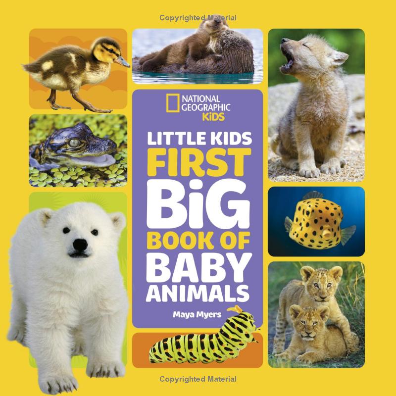 national geographic little kids first big book of baby animals