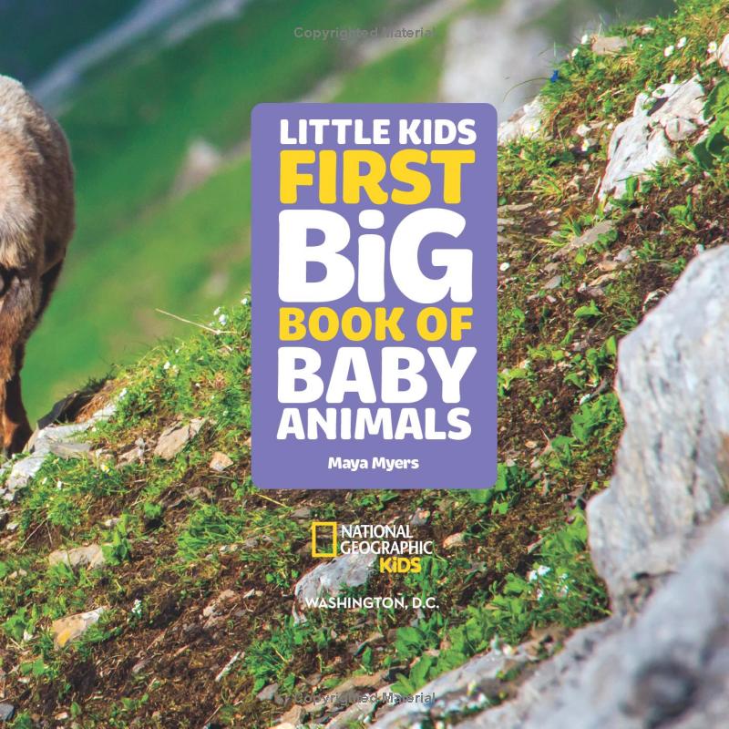 national geographic little kids first big book of baby animals