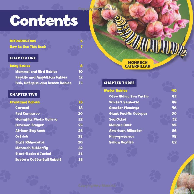 national geographic little kids first big book of baby animals