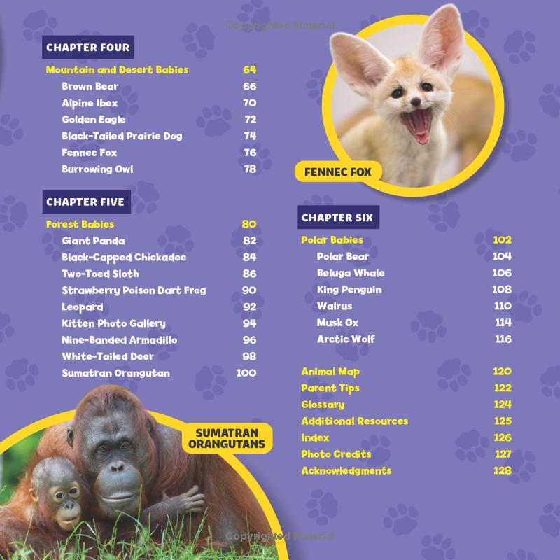 national geographic little kids first big book of baby animals