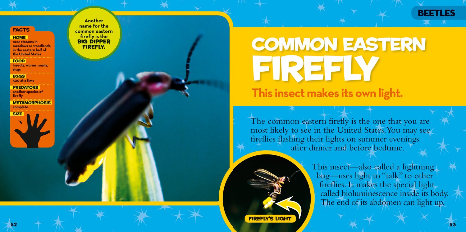 national geographic little kids first big book of bugs
