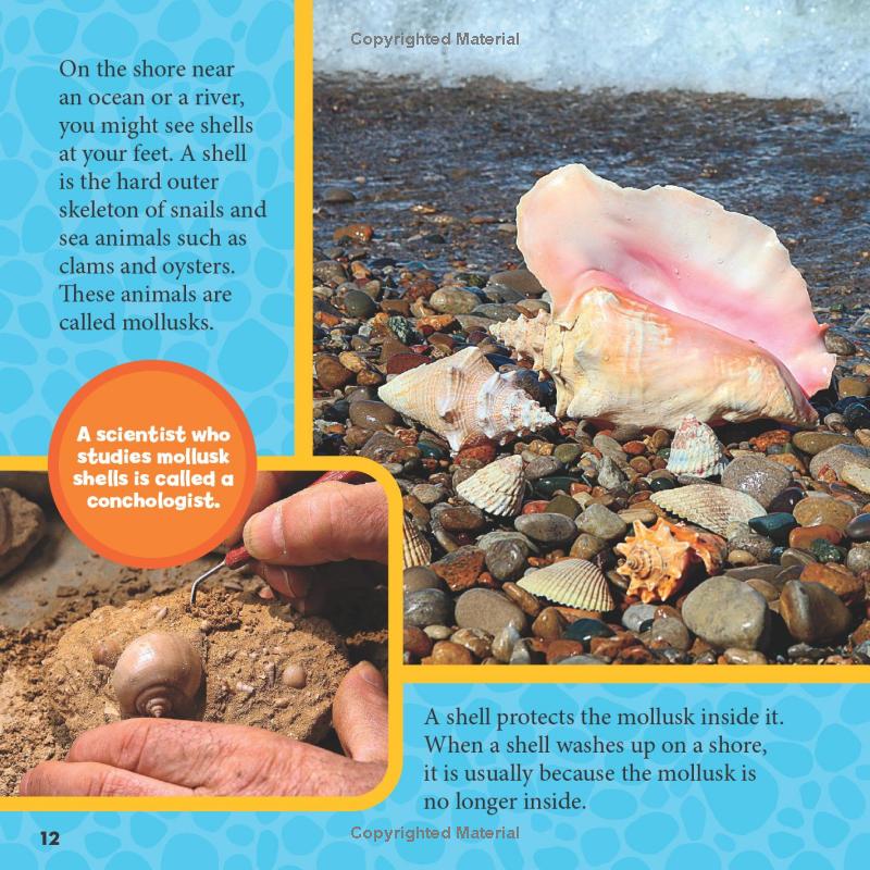 national geographic little kids first big book of rocks, minerals & shells