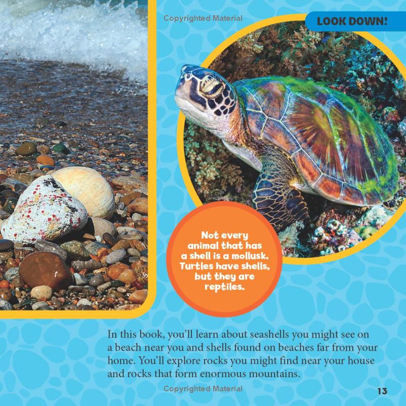 national geographic little kids first big book of rocks, minerals & shells