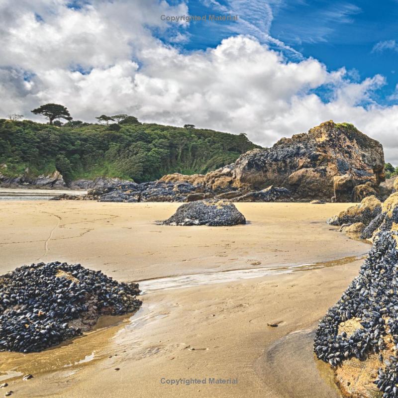 national geographic little kids first big book of rocks, minerals & shells
