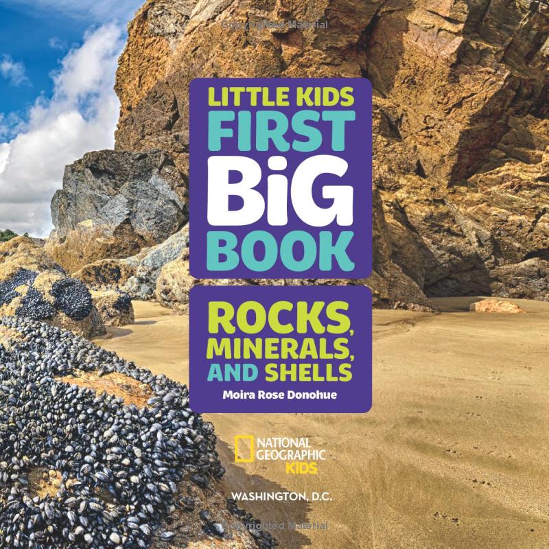 national geographic little kids first big book of rocks, minerals & shells