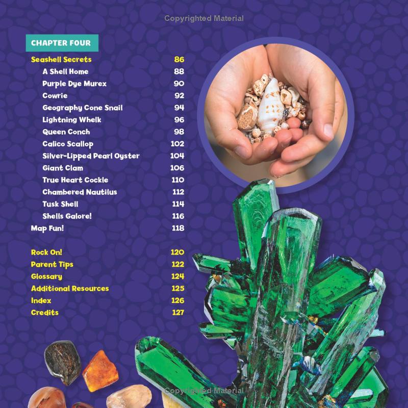 national geographic little kids first big book of rocks, minerals & shells