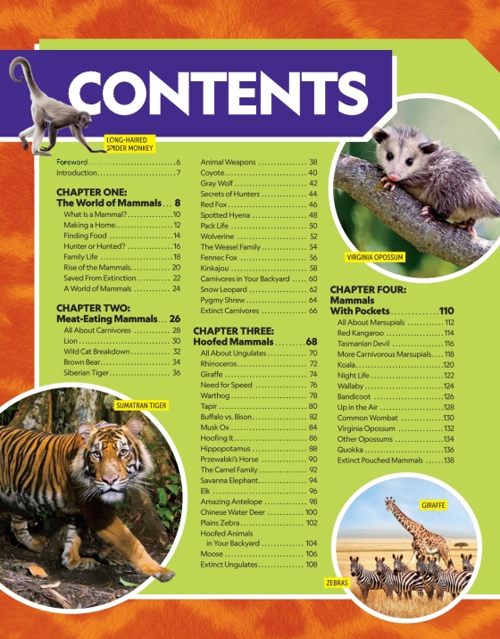 national geographic little kids first big book of sports