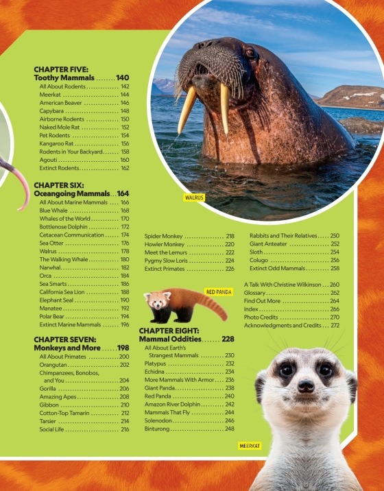 national geographic little kids first big book of sports