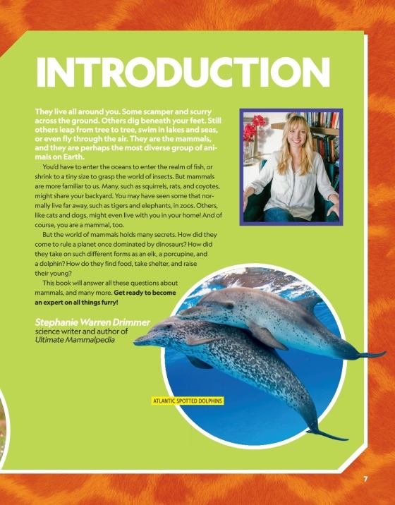 national geographic little kids first big book of sports