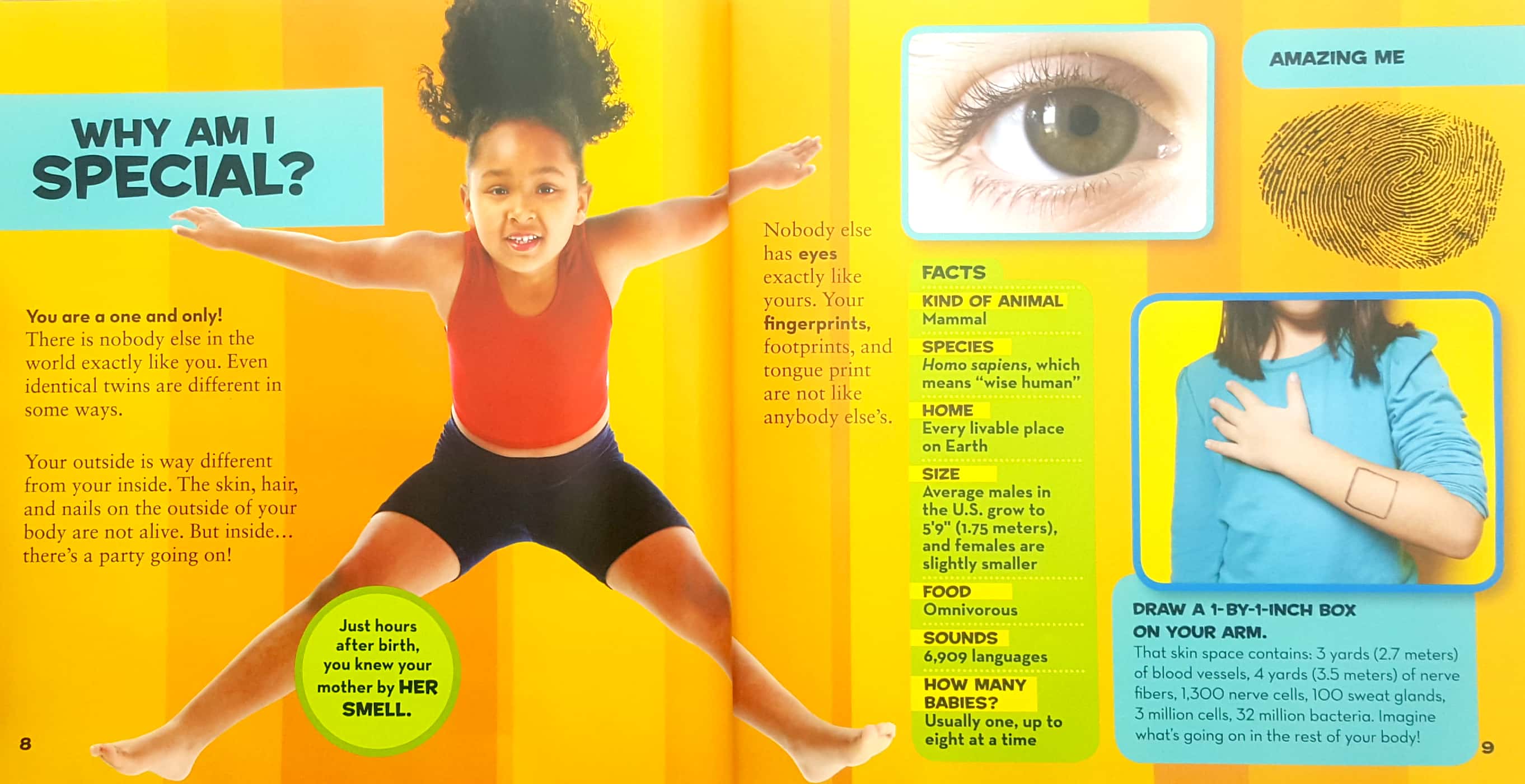 national geographic little kids first big book of why (national geographic little kids first big books)