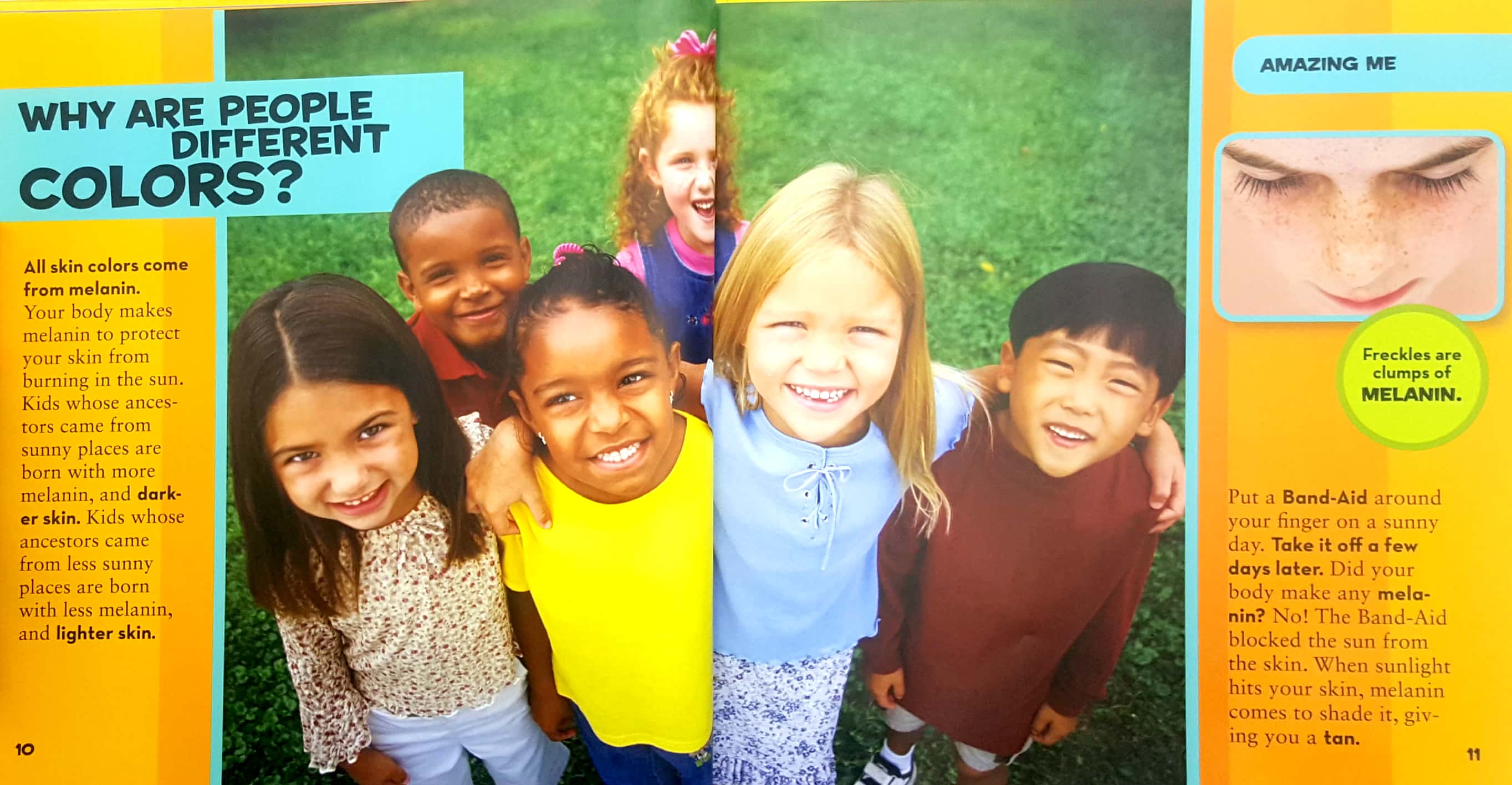 national geographic little kids first big book of why (national geographic little kids first big books)