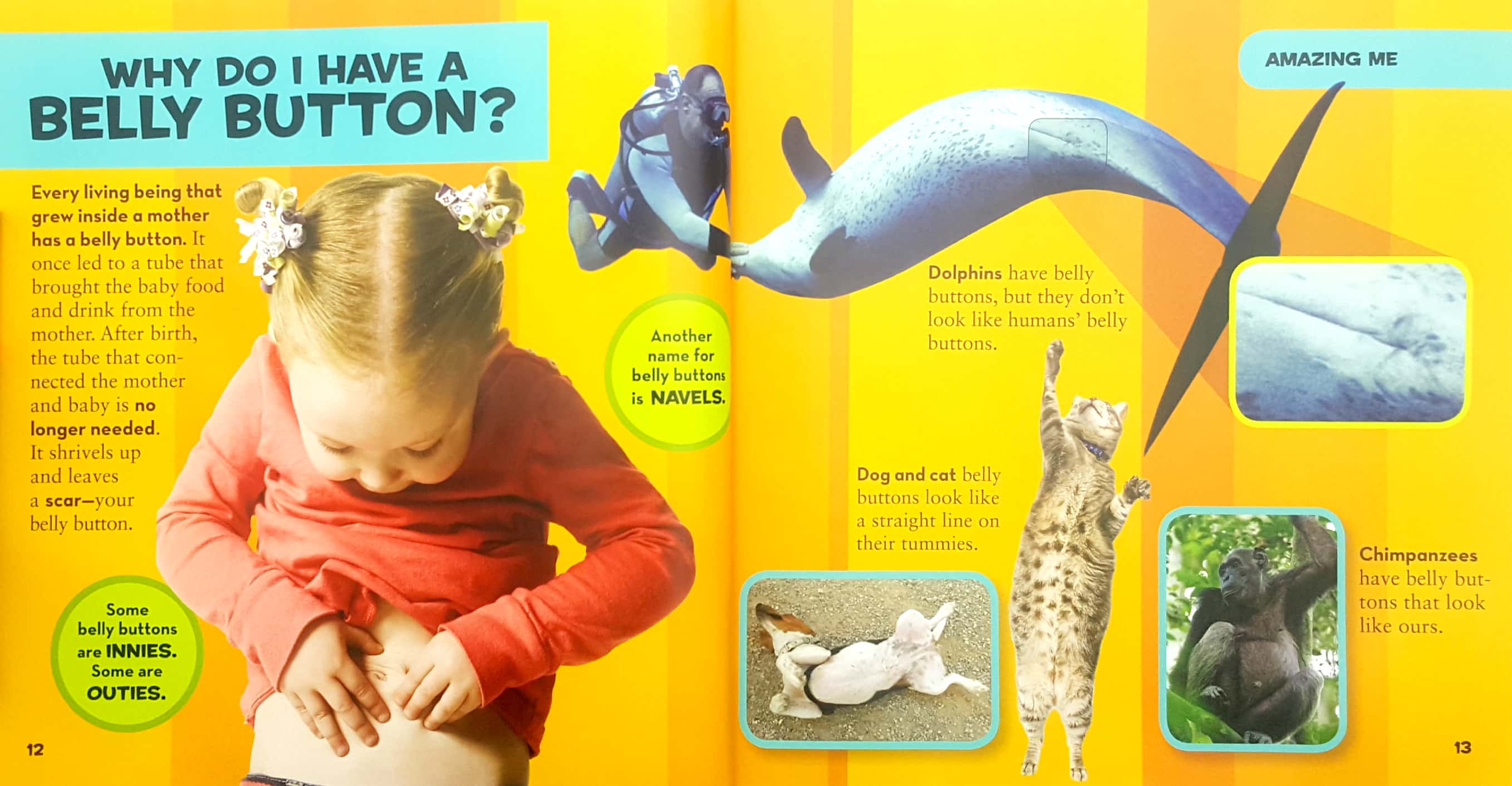 national geographic little kids first big book of why (national geographic little kids first big books)