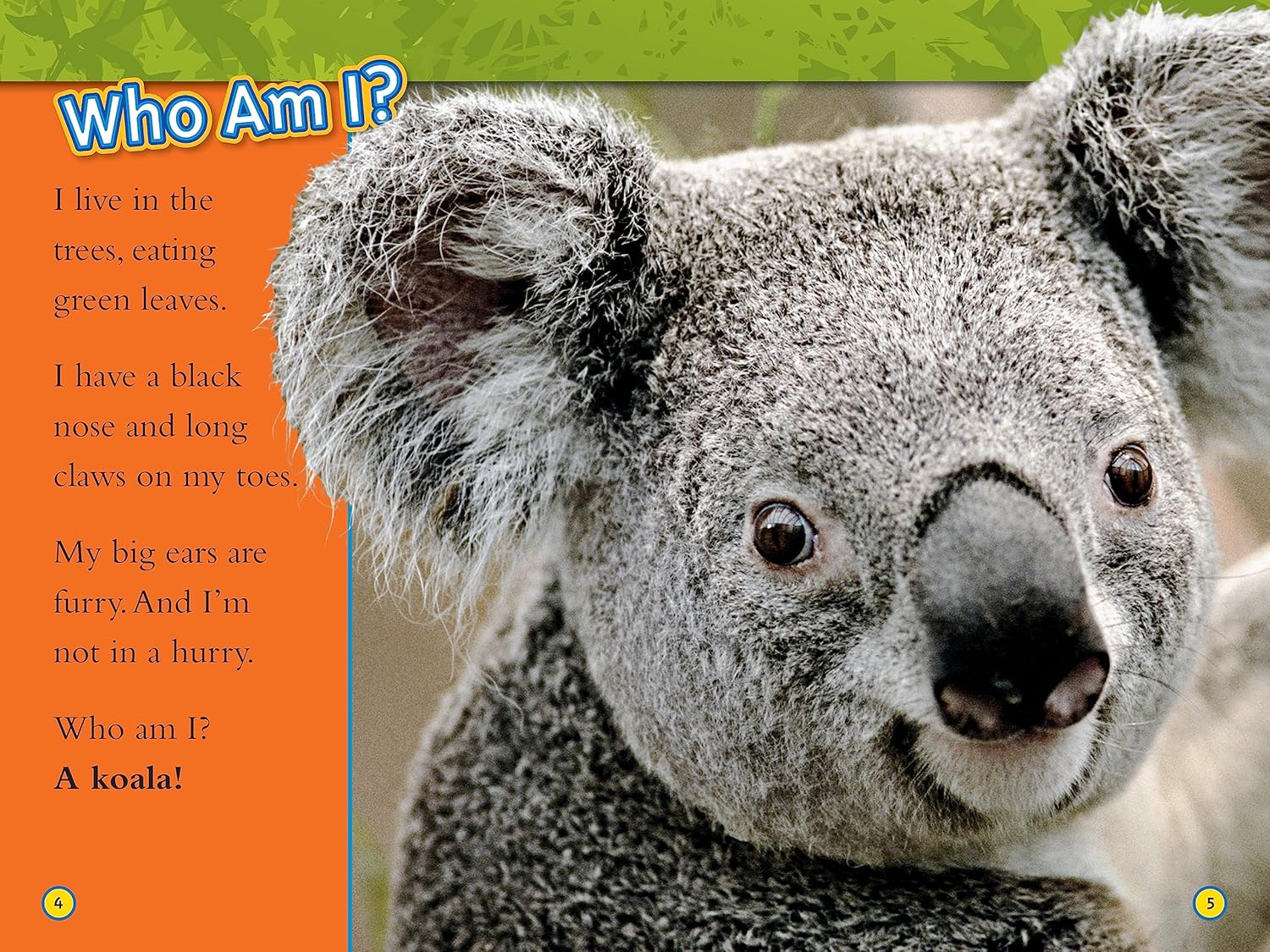 national geographic readers animal all-stars collection