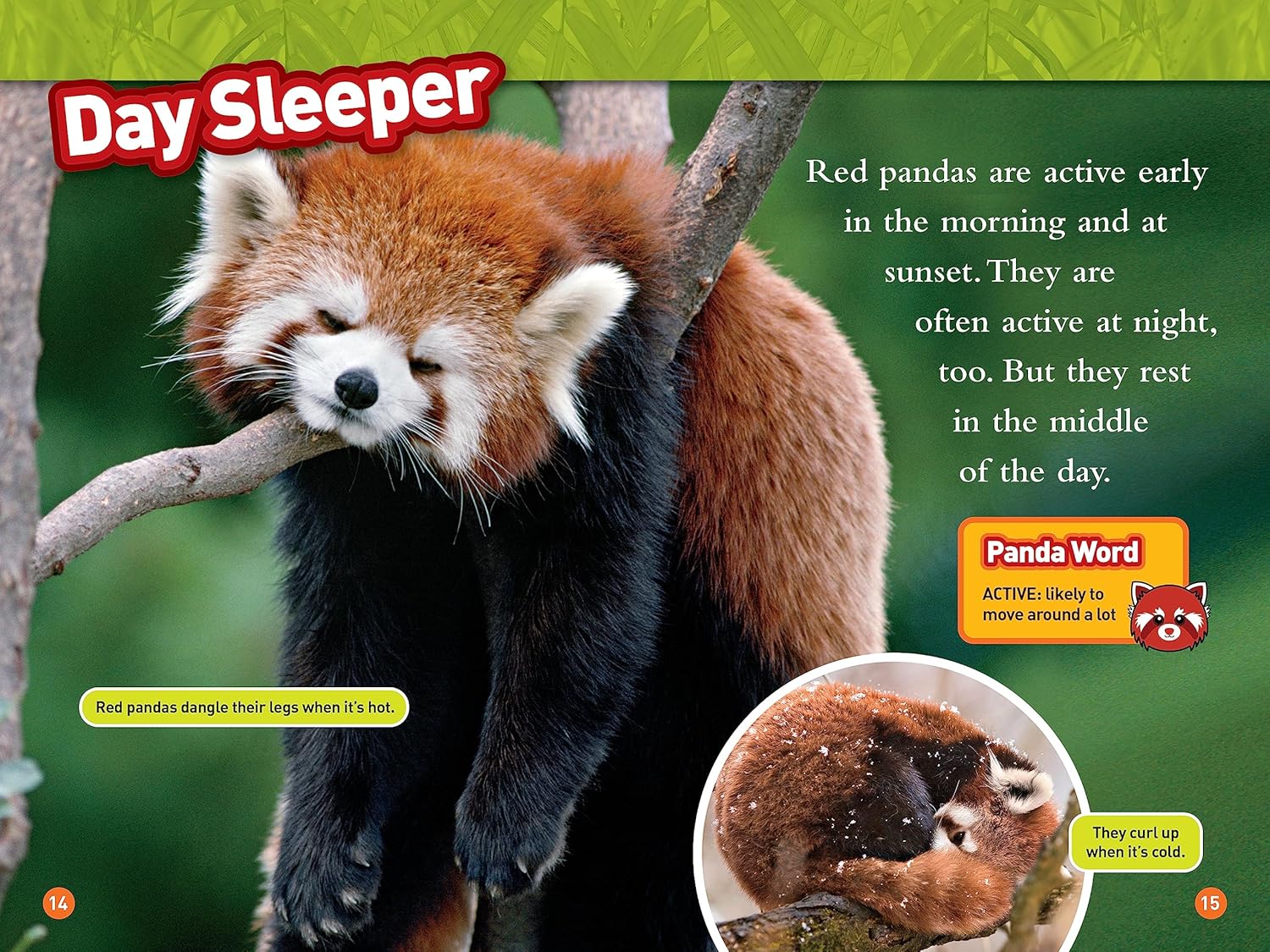 national geographic readers animal all-stars collection