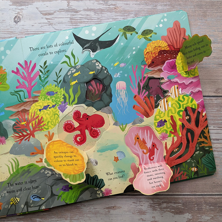 nature die-cut book - let's explore! the ocean