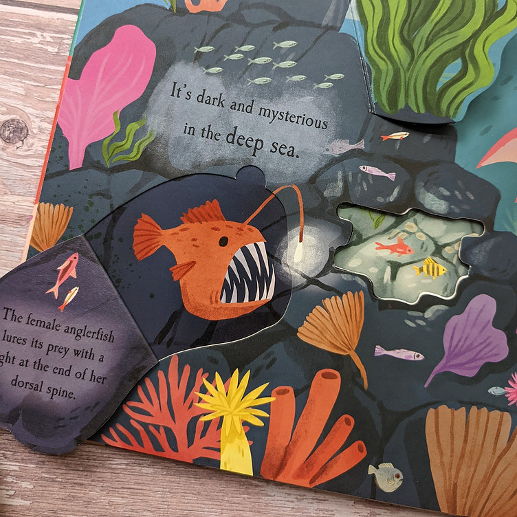 nature die-cut book - let's explore! the ocean