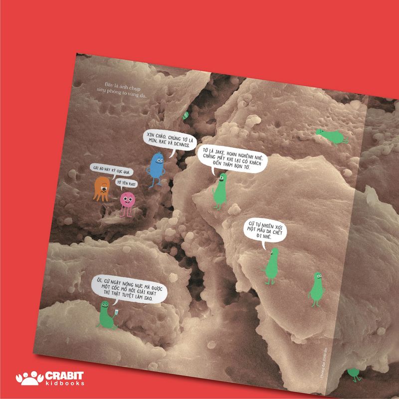 này, chớ táy máy liếm sách!