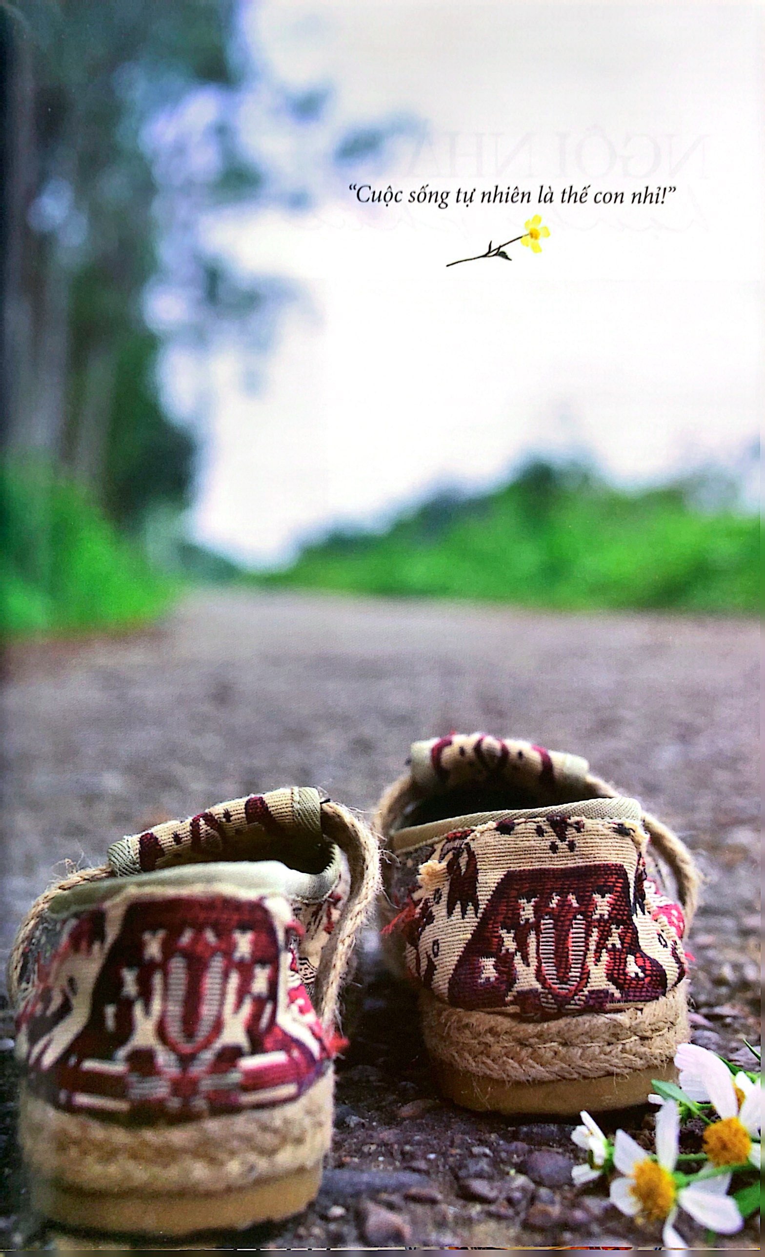 nếm vị an nhiên: món an lành với tất cả yêu thương