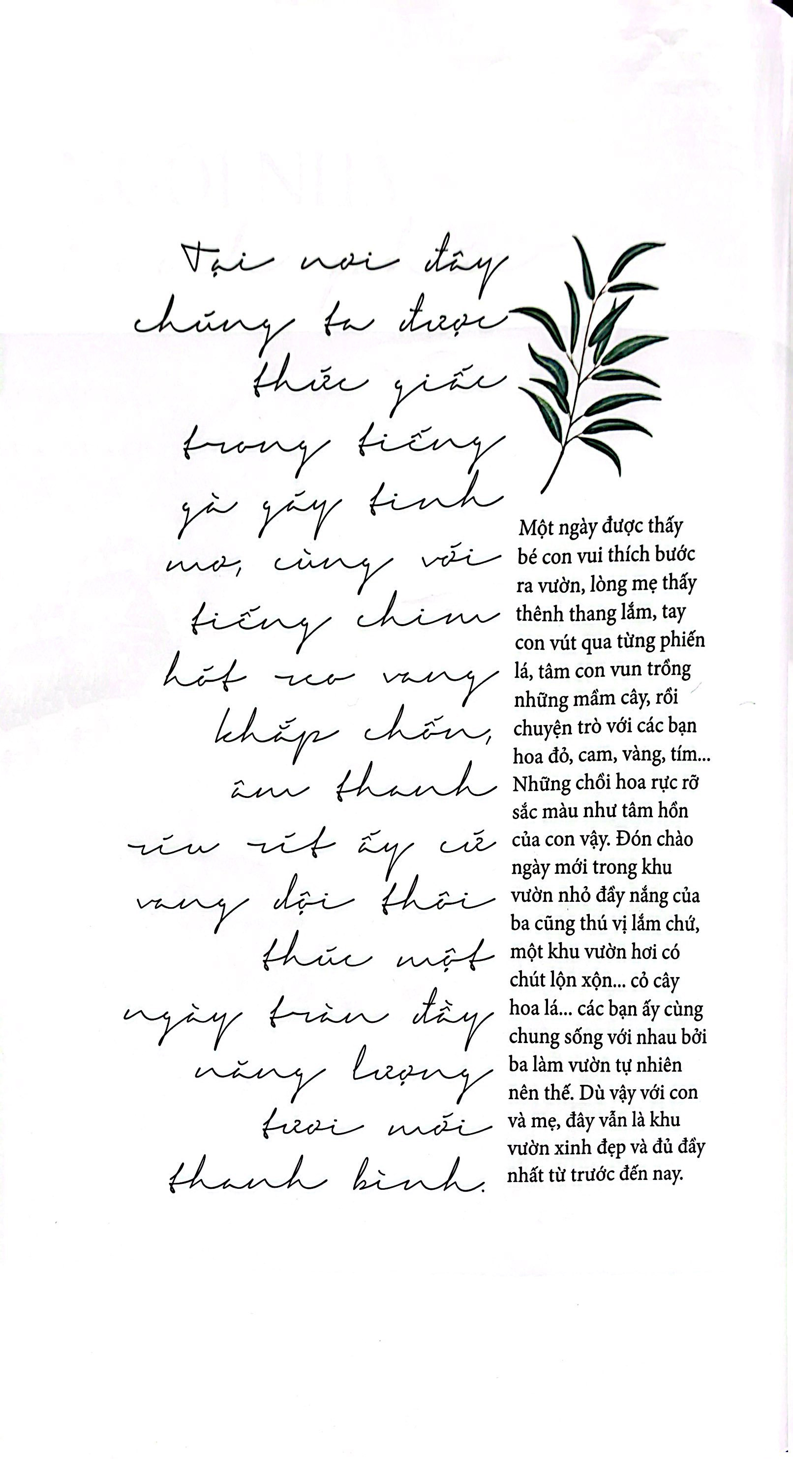 nếm vị an nhiên: món an lành với tất cả yêu thương