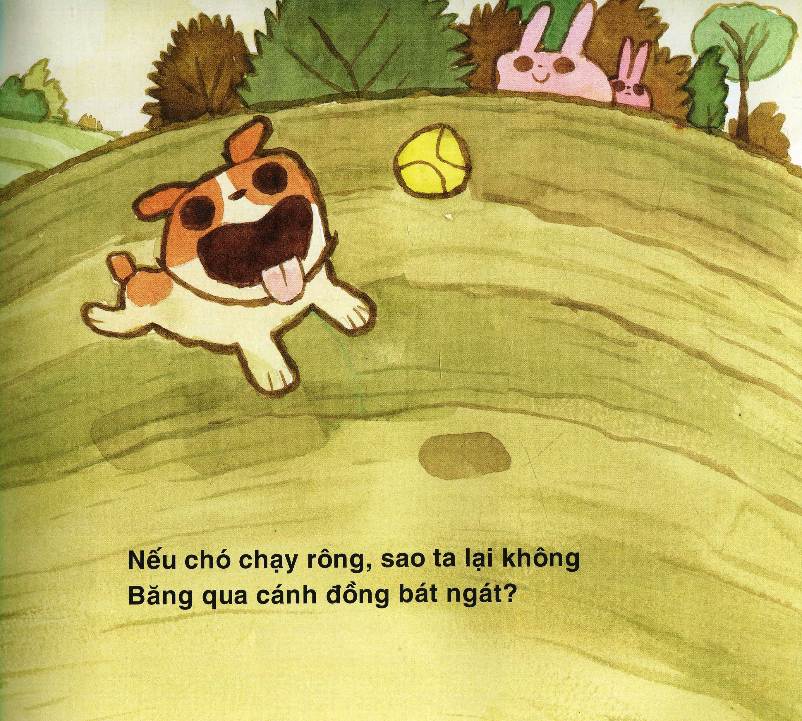 nếu chó chạy rông
