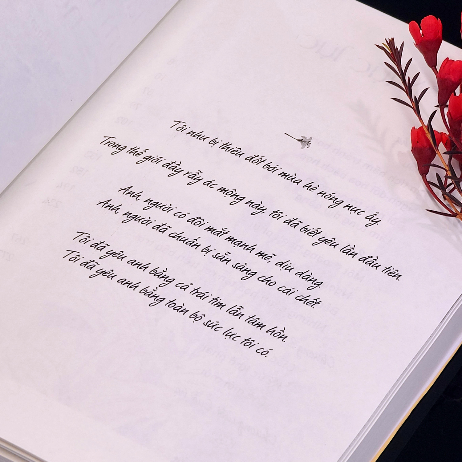 nếu gặp lại em trên ngọn đồi hoa nở - tặng kèm bookmark