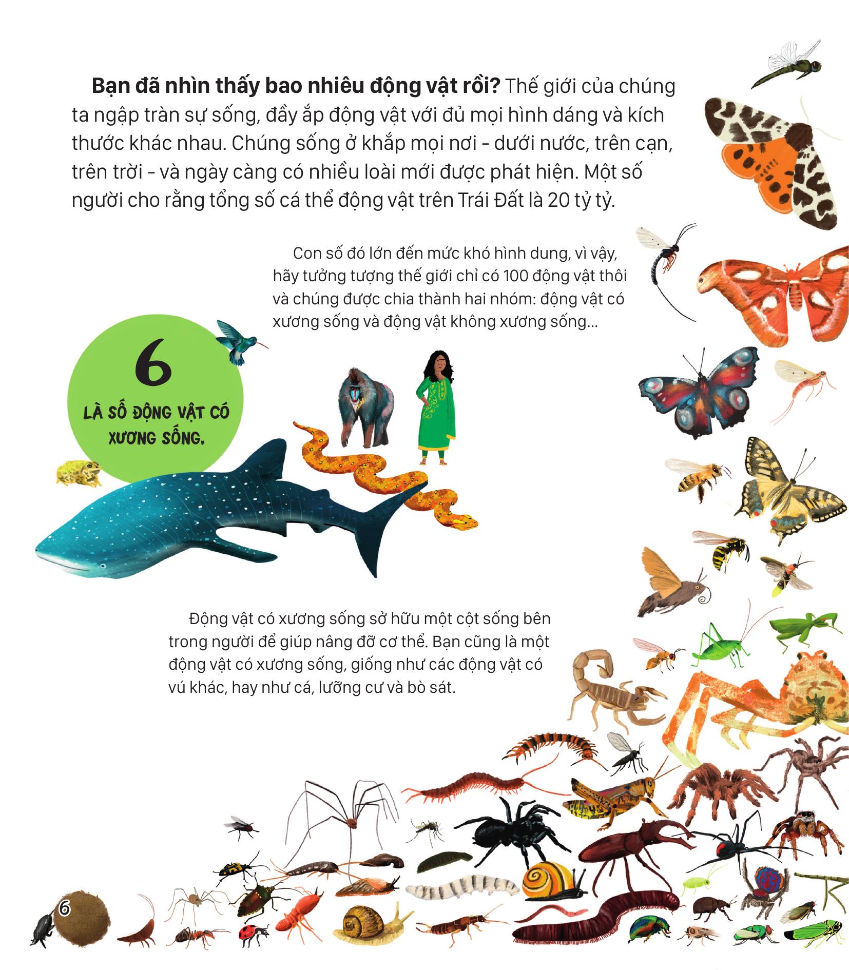 Neu The Gioi Chi Co 100 Dong Vat - Goc Nhin Toan Dien Ve Dong Vat Tren Trai Dat