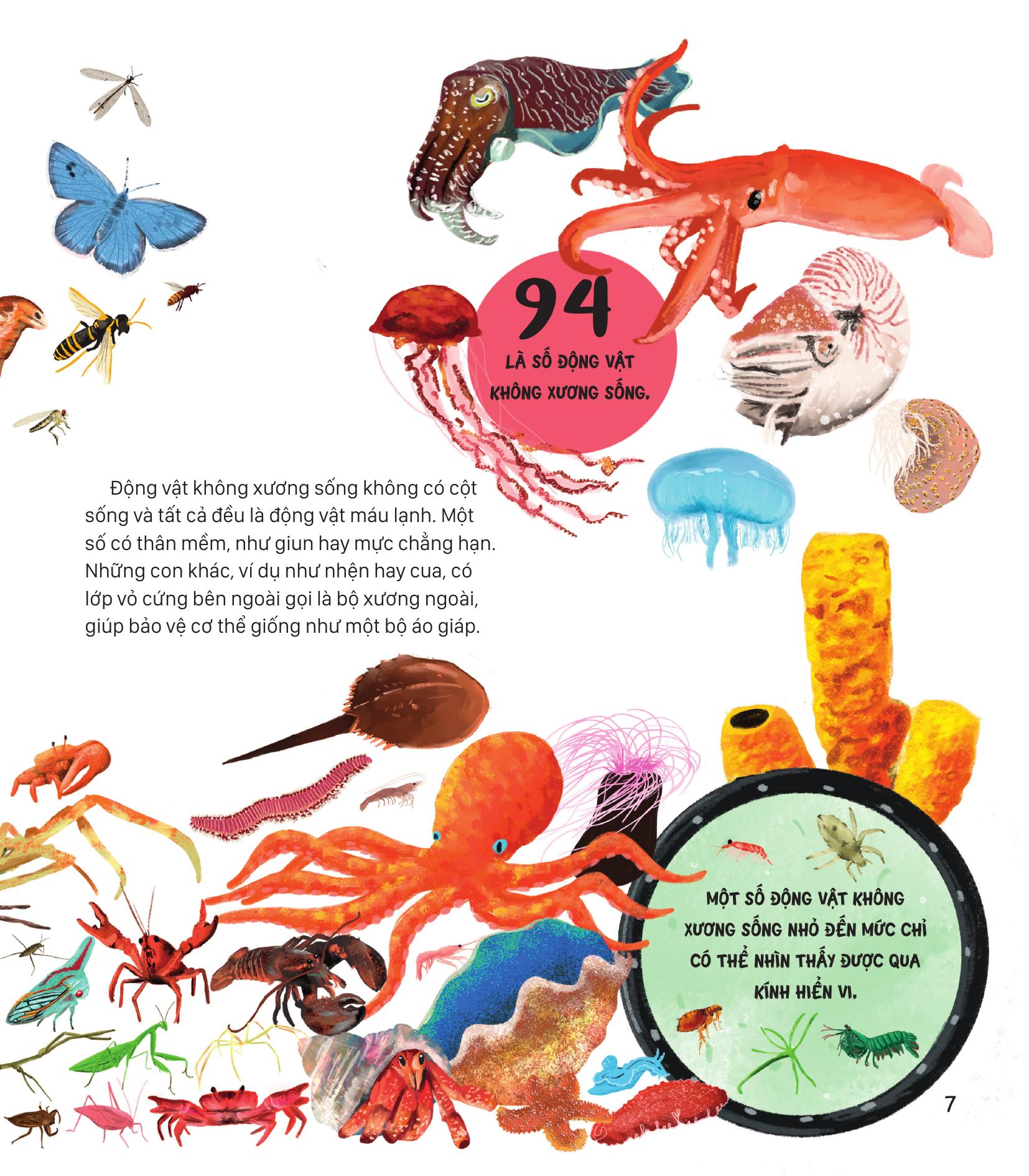 Neu The Gioi Chi Co 100 Dong Vat - Goc Nhin Toan Dien Ve Dong Vat Tren Trai Dat