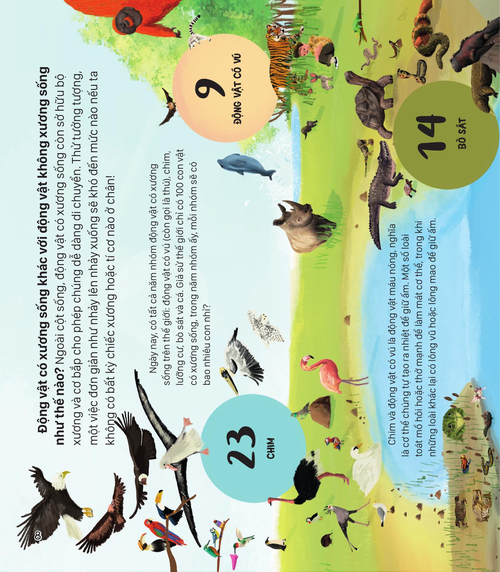 Neu The Gioi Chi Co 100 Dong Vat - Goc Nhin Toan Dien Ve Dong Vat Tren Trai Dat