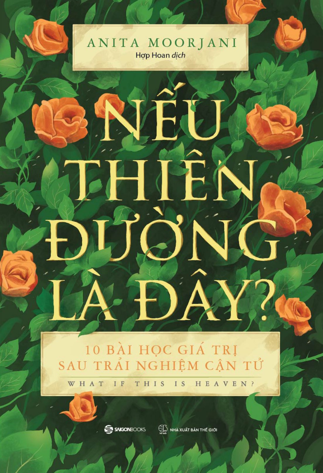 nếu thiên đường là đây