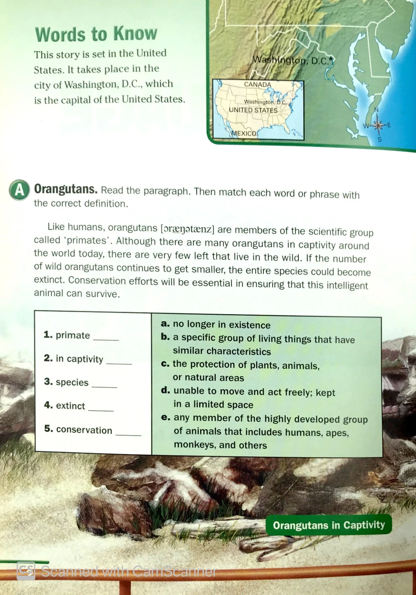 ng fprl ame orangutan language 1600 sb