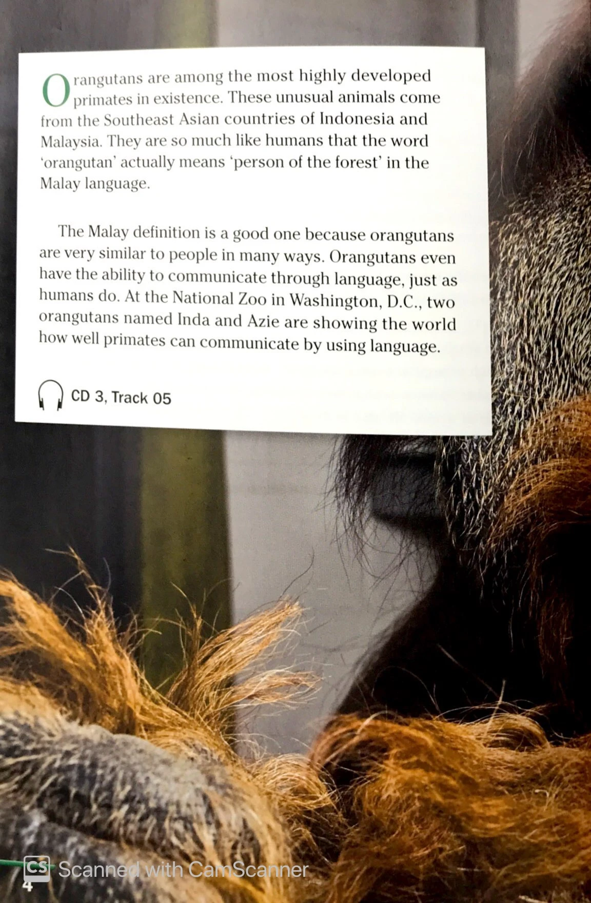 ng fprl ame orangutan language 1600 sb
