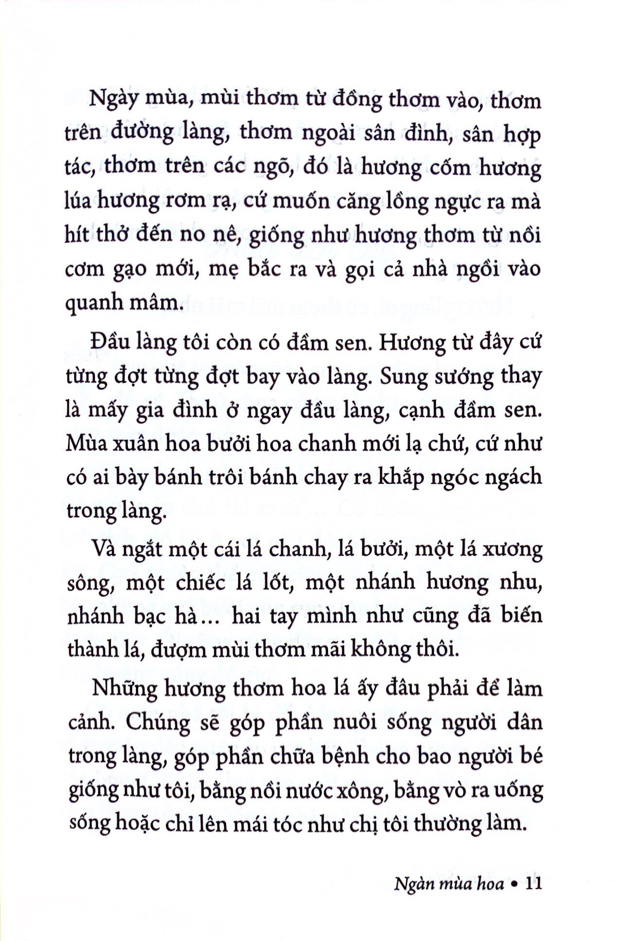 ngàn mùa hoa - nét đẹp quê hương