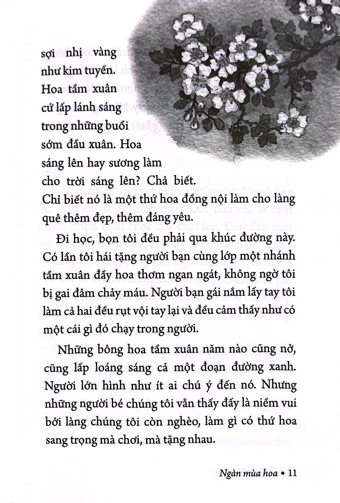 ngàn mùa hoa - nét đẹp thiên nhiên