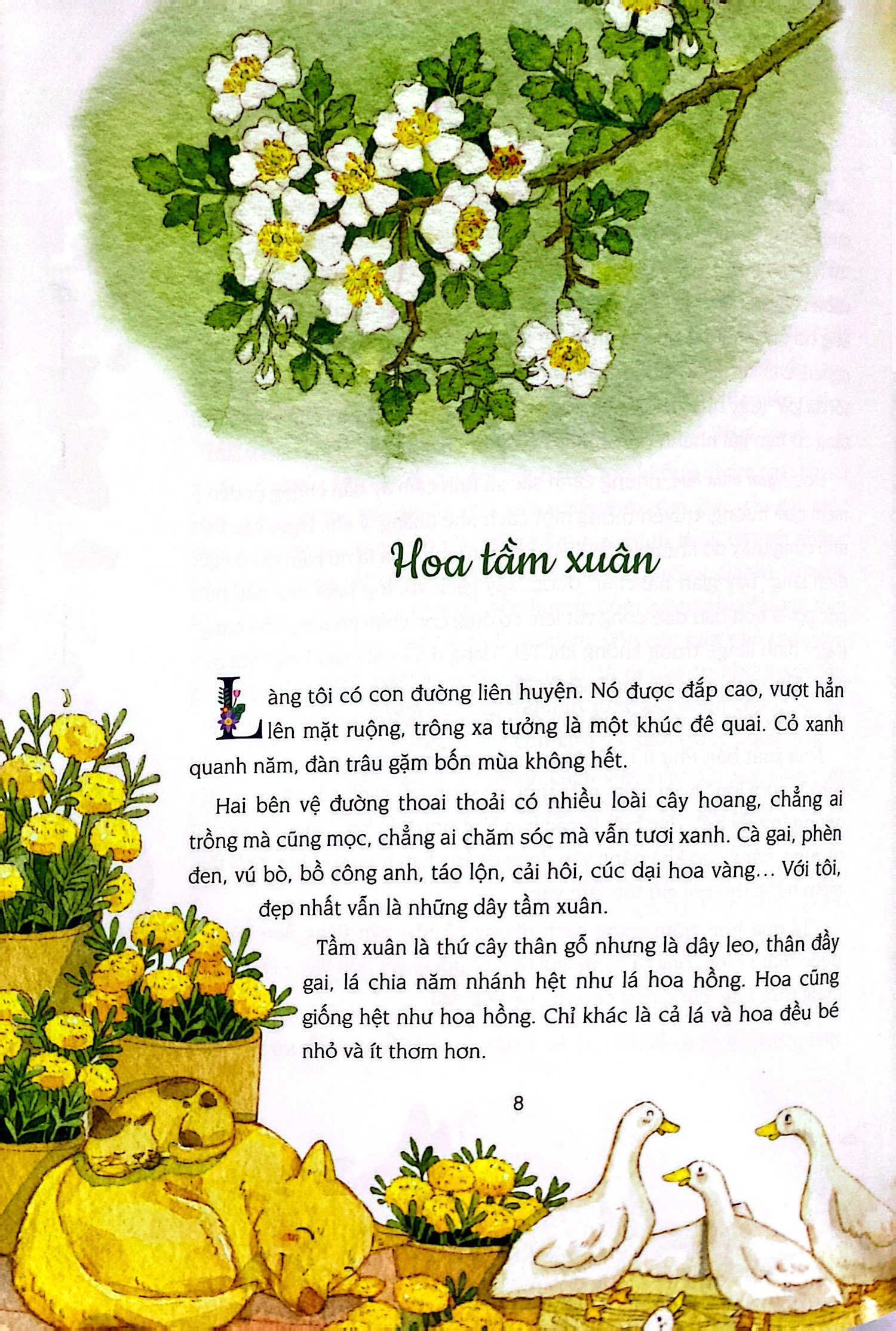 ngàn mùa hoa - tản văn giúp trẻ yêu văn chương